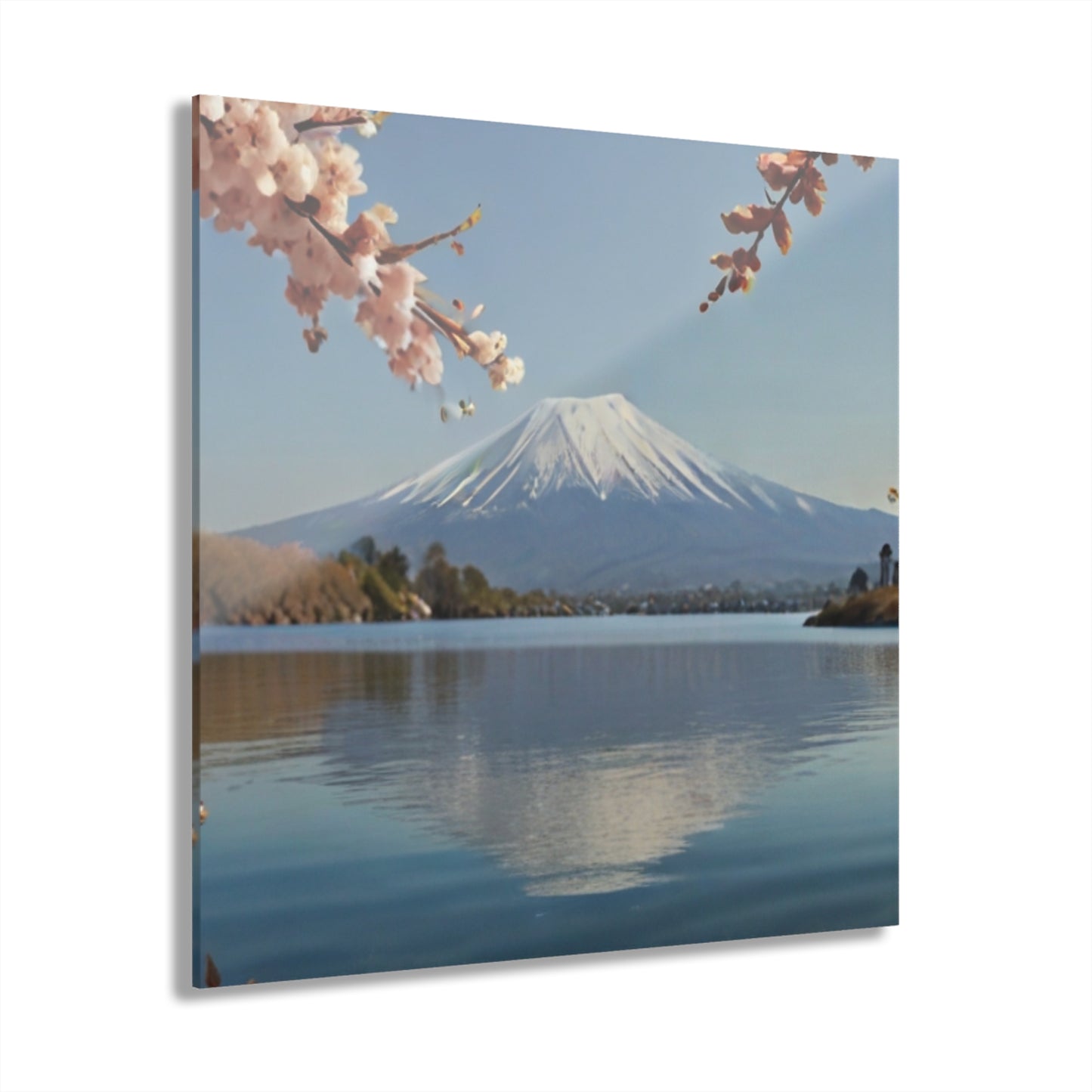 Mount Fuji with Cherry Blossoms - Acrylic Print
