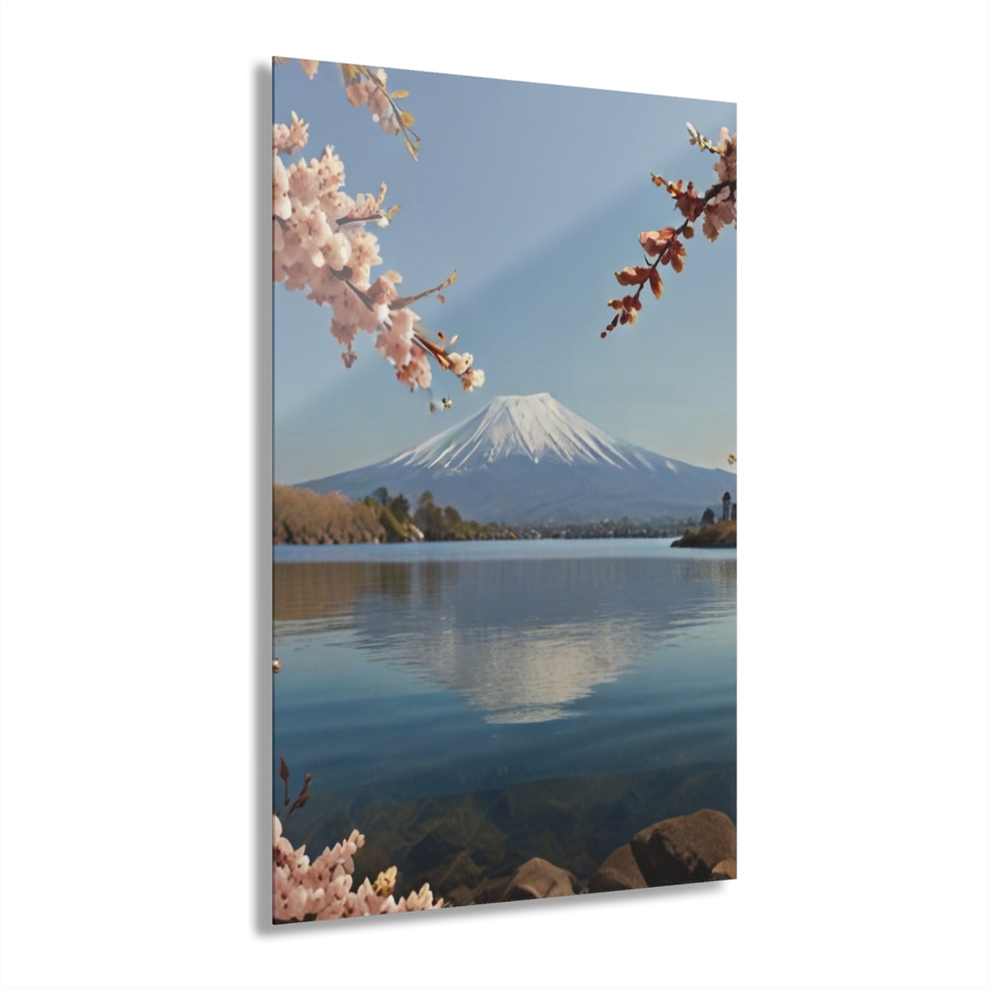 Mount Fuji with Cherry Blossoms - Acrylic Print