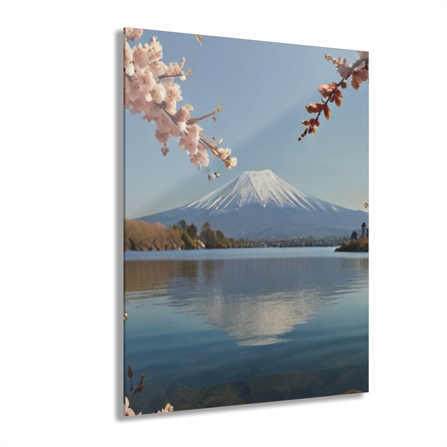 Mount Fuji with Cherry Blossoms - Acrylic Print